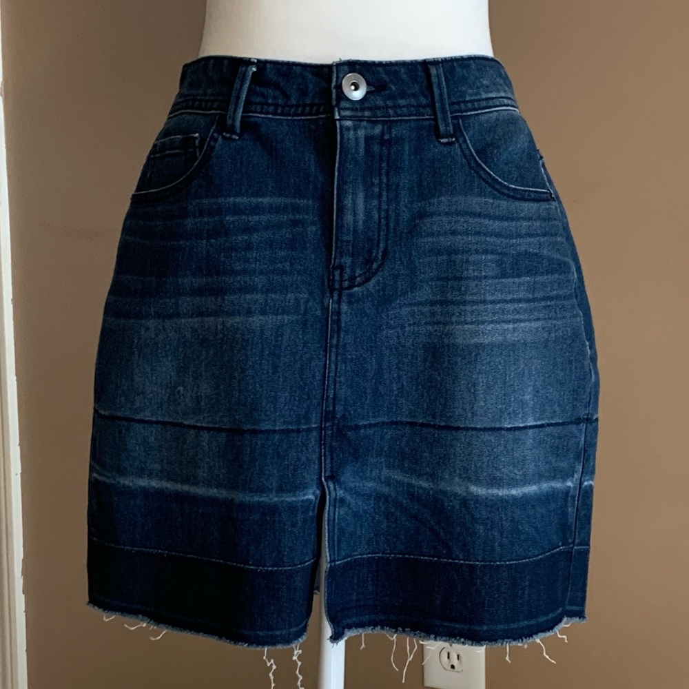 Baccini Denim Skirt